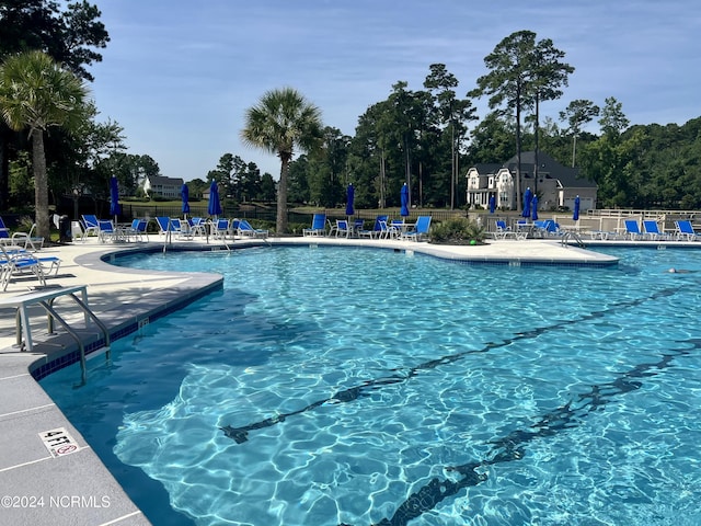 view of pool with a patio area