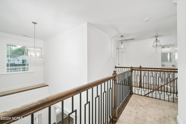 hall with crown molding and carpet floors