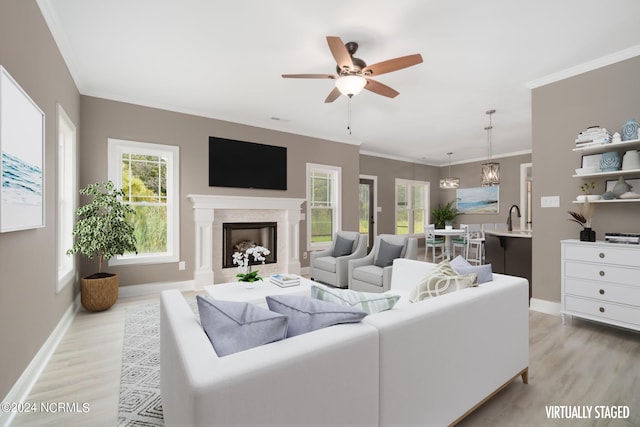 living room featuring light wood-type flooring, a fireplace, and crown molding