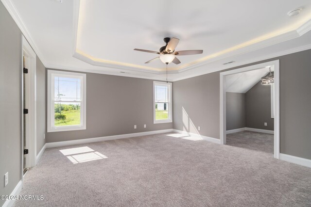 spare room featuring ceiling fan, a raised ceiling, carpet, and crown molding