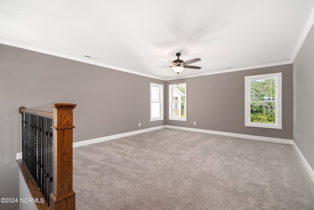 empty room featuring ceiling fan, carpet, and ornamental molding