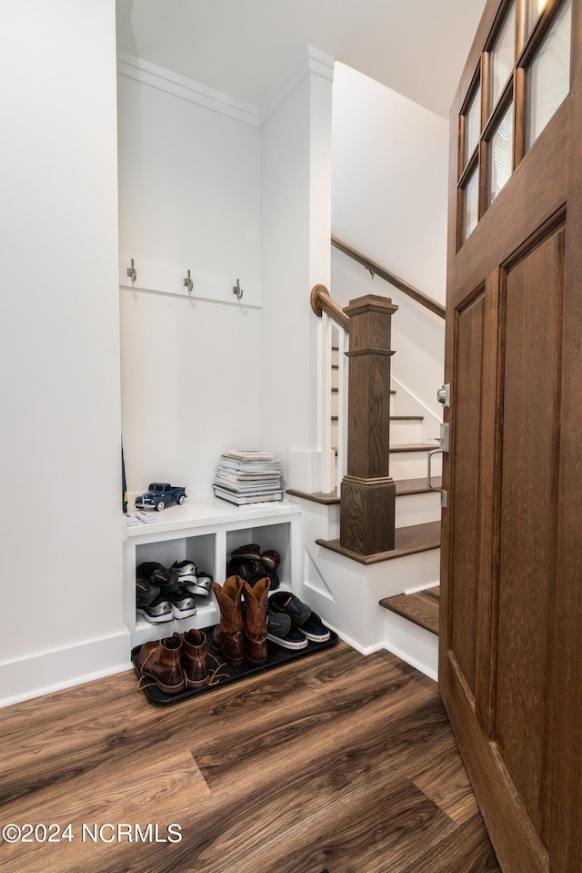 mudroom featuring crown molding and dark wood-type flooring