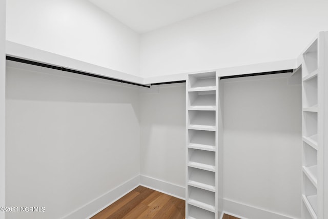 walk in closet featuring wood-type flooring