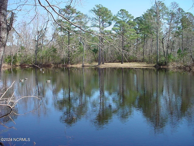 LOT1 Harts Ln Unit 1-14, Rocky Point NC, 28457 land for sale