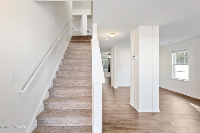 stairway featuring hardwood / wood-style flooring