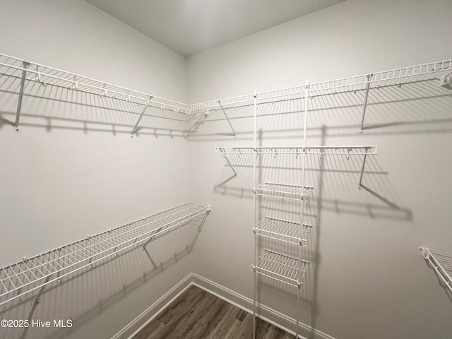 spacious closet featuring dark wood-type flooring