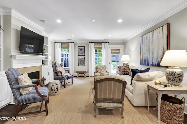 living area featuring a fireplace, crown molding, and recessed lighting