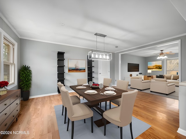 dining space with ornamental molding, light hardwood / wood-style flooring, and ceiling fan