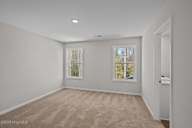unfurnished room featuring a healthy amount of sunlight and carpet floors