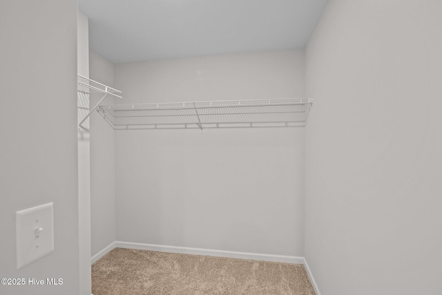 walk in closet with carpet