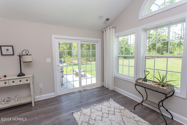 interior space featuring dark hardwood / wood-style floors, vaulted ceiling, and a wealth of natural light