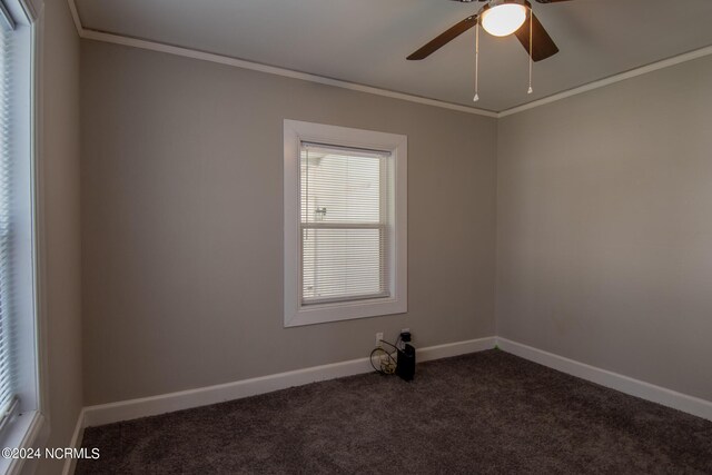 empty room featuring ornamental molding, ceiling fan, and carpet