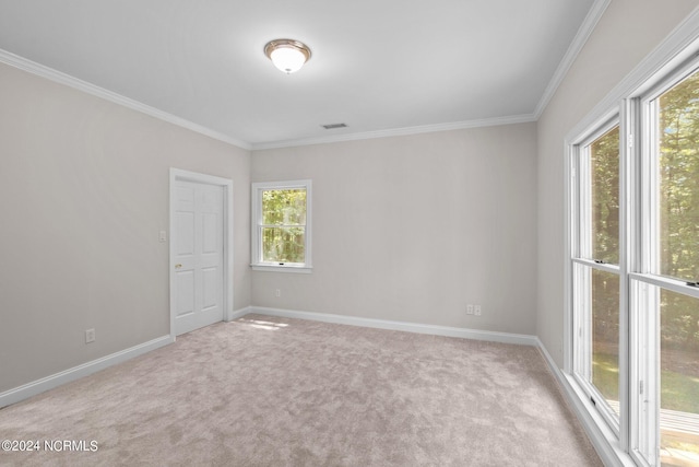 spare room featuring crown molding and light carpet