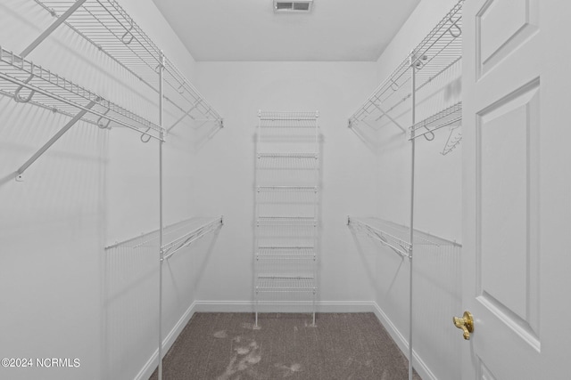 spacious closet with carpet floors