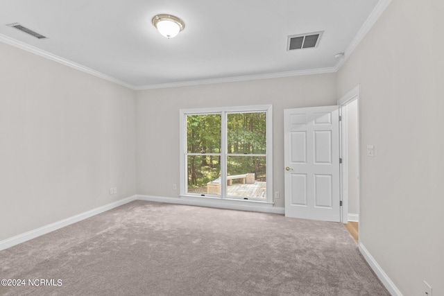 empty room featuring carpet floors and crown molding