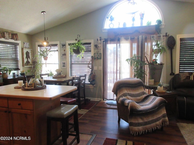 dining space featuring plenty of natural light, dark wood-type flooring, and lofted ceiling