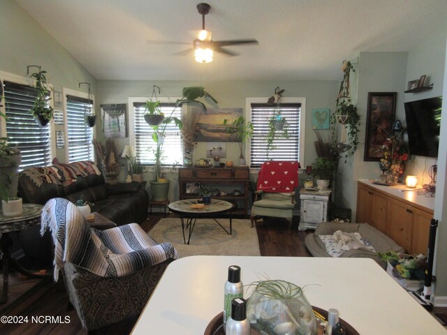 living room featuring ceiling fan, wood-type flooring, and plenty of natural light