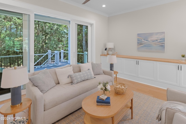 living room with crown molding and light hardwood / wood-style floors