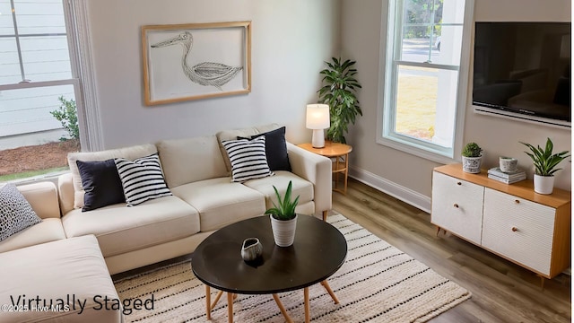 living room with wood-type flooring