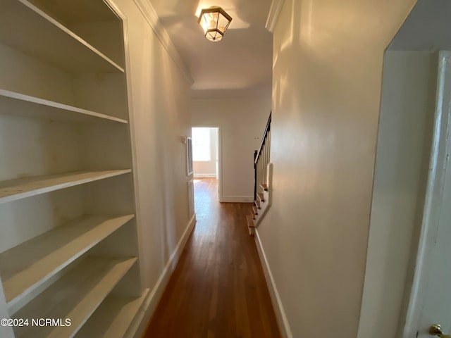 hall featuring wood-type flooring