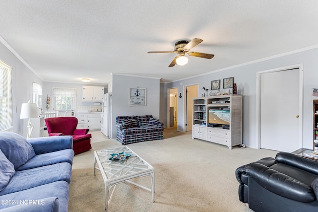 living room featuring light carpet, crown molding, and a textured ceiling