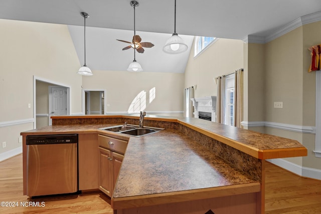 kitchen with a sink, light wood finished floors, a fireplace, and stainless steel dishwasher