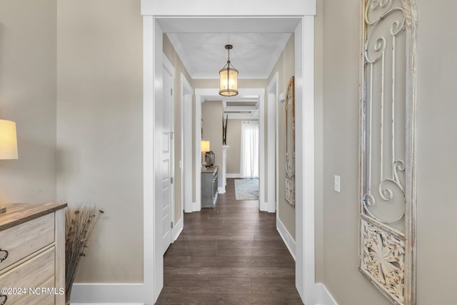 hallway featuring crown molding and dark hardwood / wood-style floors