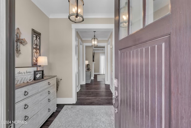 corridor with ornamental molding and dark hardwood / wood-style flooring