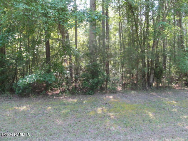 Listing photo 3 for LOT12 Stillwater Dr, Belhaven NC 27810