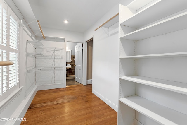 walk in closet with hardwood / wood-style floors