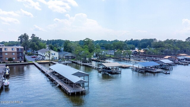 dock area with a water view