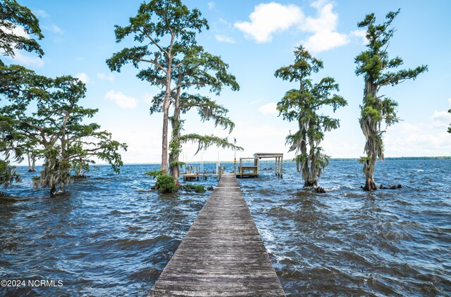 dock area featuring a water view