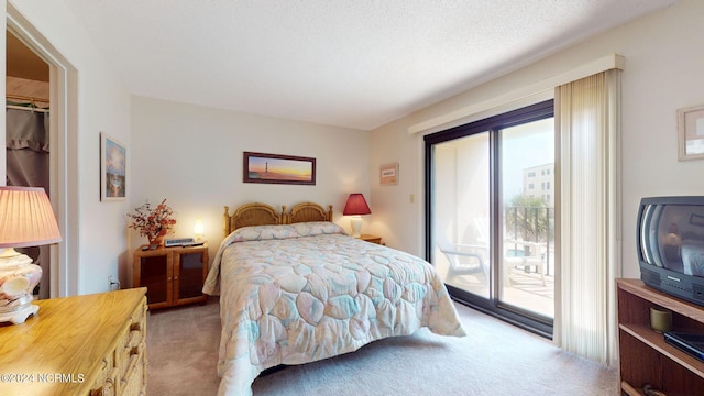 bedroom featuring access to exterior, carpet floors, a spacious closet, and a closet