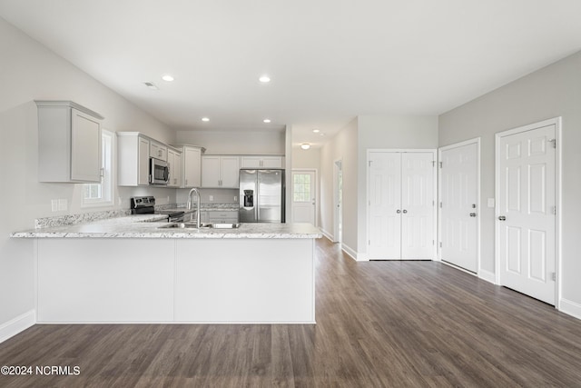 kitchen featuring kitchen peninsula, appliances with stainless steel finishes, hardwood / wood-style flooring, and sink