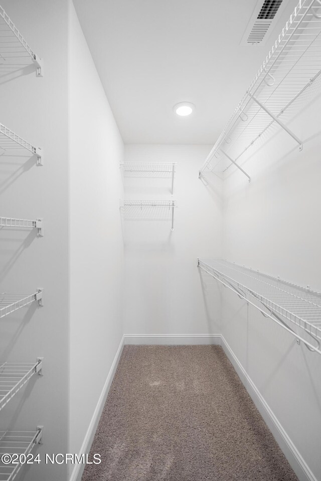 spacious closet with carpet flooring