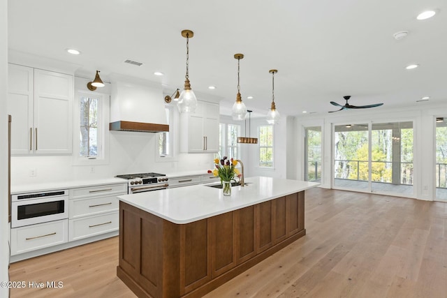 3404 Eagle Crest Dr SW, Supply, NC 28462 - kitchen featuring high end stainless steel range oven, a sink, custom range hood, ceiling fan, and healthy amount of natural light