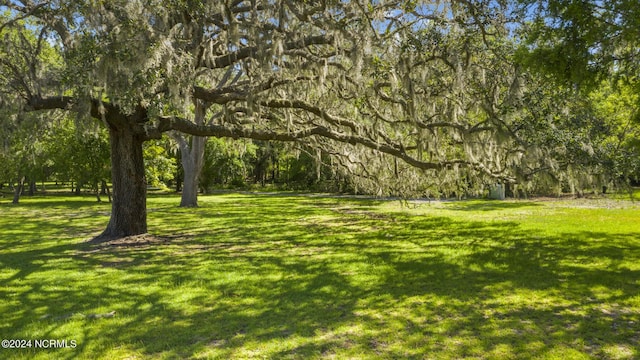 3404 Eagle Crest Dr SW, Supply, NC 28462 - view of green lawn