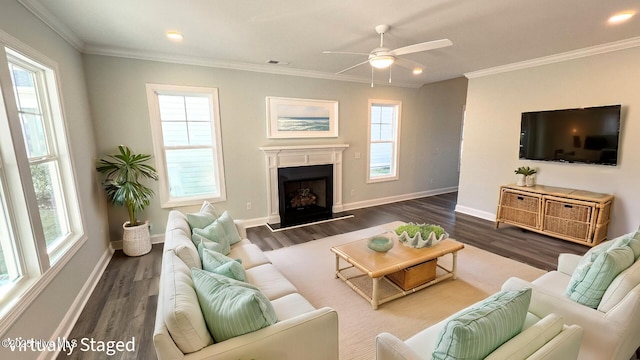 living room with crown molding, ceiling fan, and dark wood-type flooring