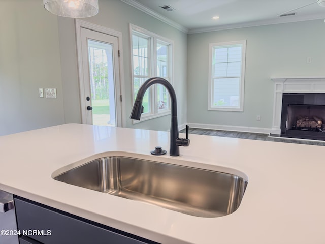 room details with crown molding and sink