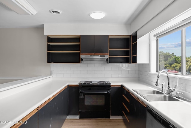 kitchen with sink, light hardwood / wood-style flooring, backsplash, black / electric stove, and dishwasher