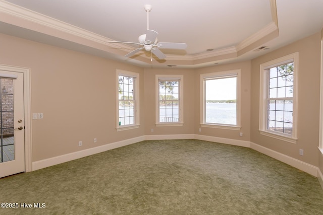 spare room with crown molding, carpet floors, a raised ceiling, and plenty of natural light