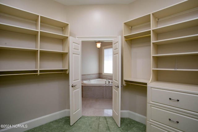 spacious closet with light colored carpet