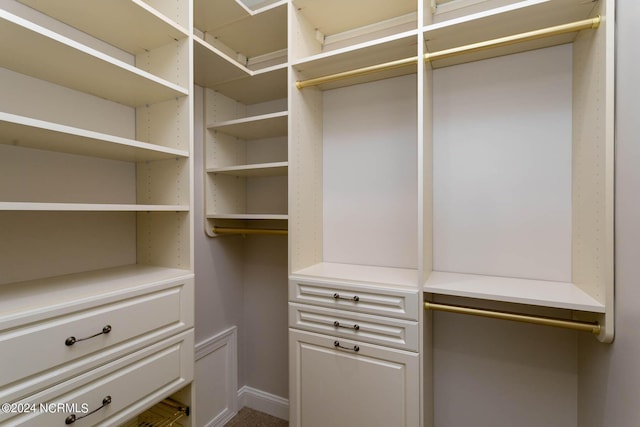 view of spacious closet