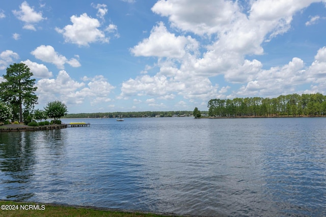 view of water feature