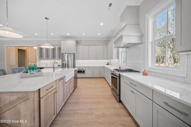 3772 Barnesmore Dr, Castle Hayne, NC 28429 - kitchen featuring stainless steel appliances, custom exhaust hood, decorative backsplash, plenty of natural light, and crown molding