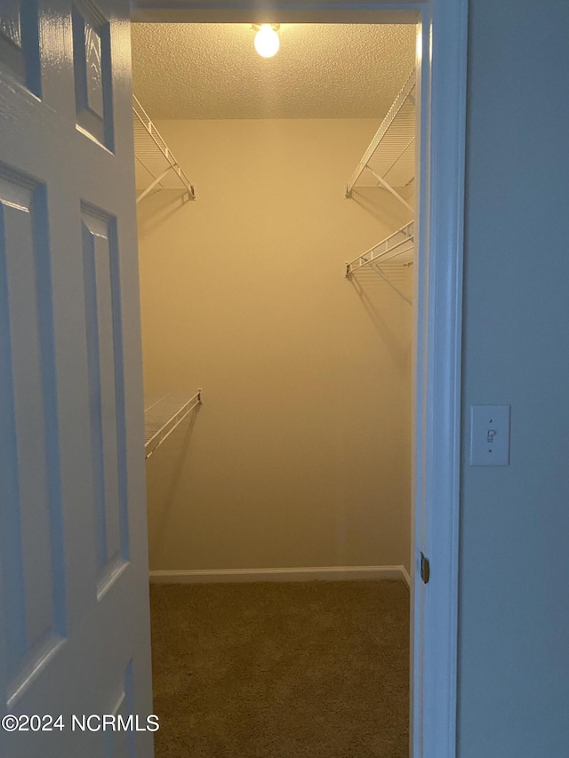 walk in closet with dark carpet