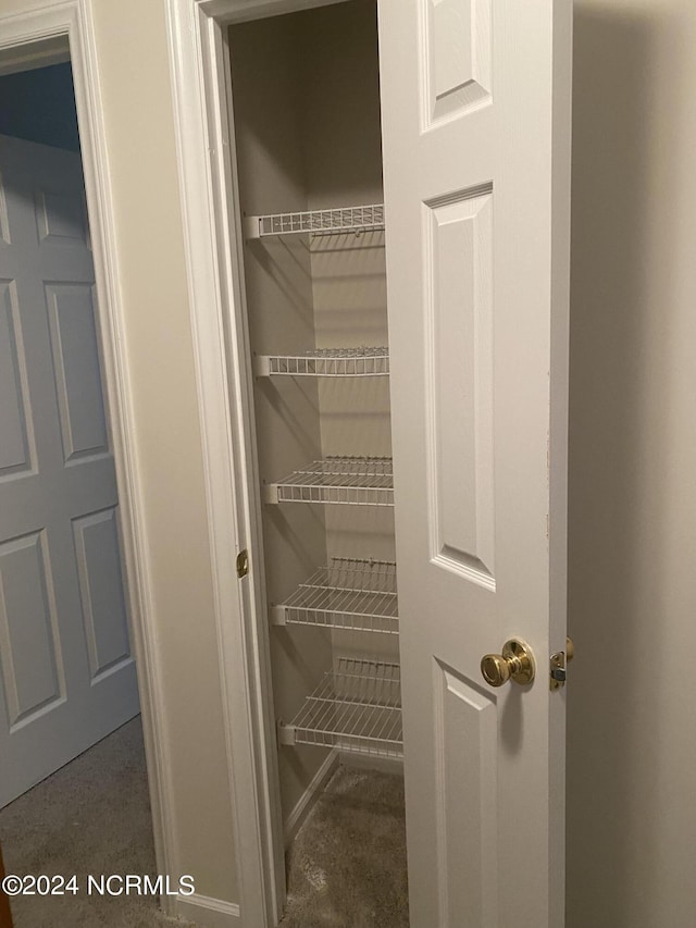 view of closet