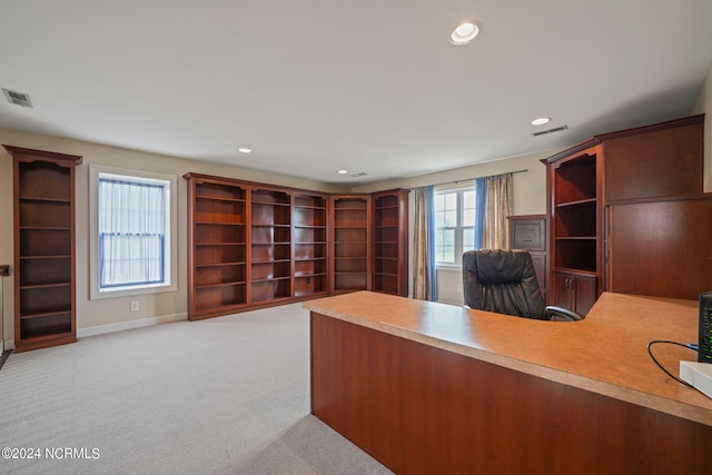 unfurnished office featuring light colored carpet