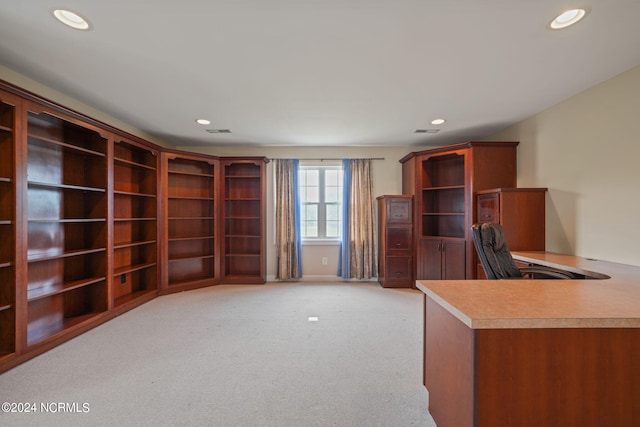 unfurnished office with light carpet