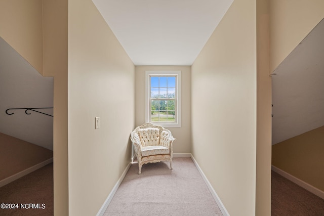 unfurnished room featuring carpet flooring